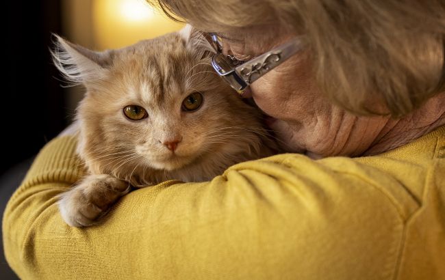 Чи можна назвати кішку чи собаку людським ім'ям
