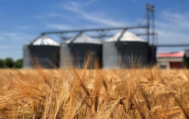 одним з експортних товарів в Україні є зерно