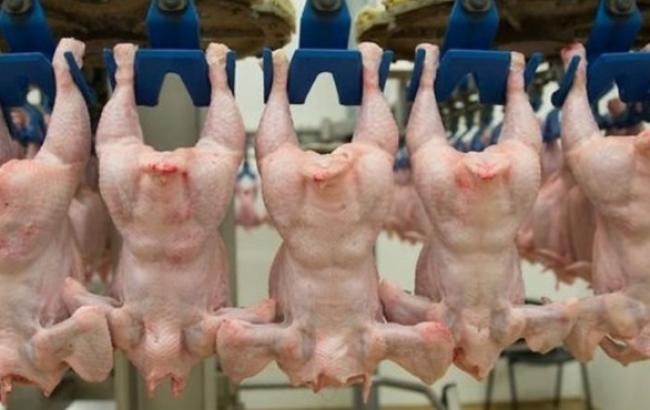 Росія не допустила ввезення в Крим великої партії української курятини