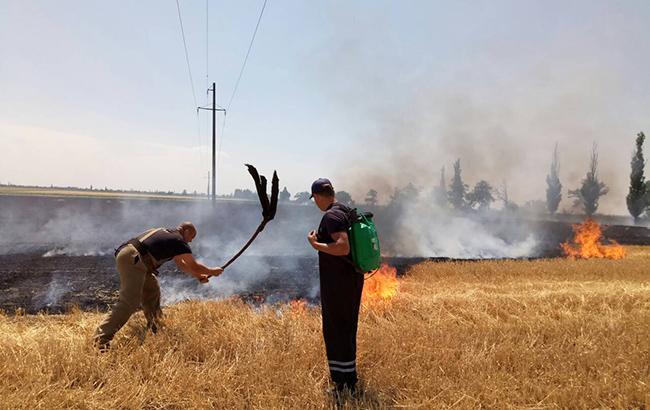 Во Львовской области сгорело 20 000 кв. м поля
