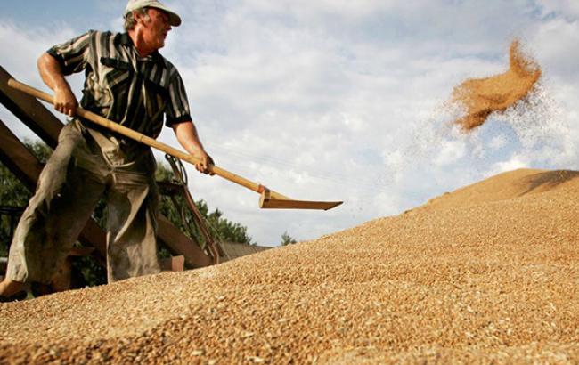 Президент общественной организации: за отмену ареста зерна "Агрейна" судьям передали 500 тыс. долл