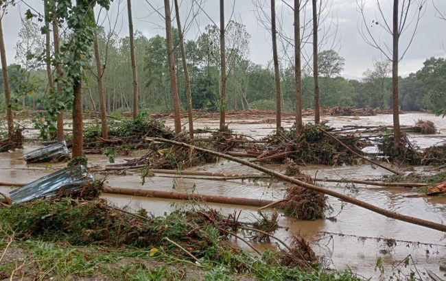 В Стамбуле из-за масштабного наводнения погибли два человека