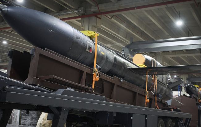 Перші "Фламінго" запускали по росіянах ще у березні 2025 року, - речник ЗСУ