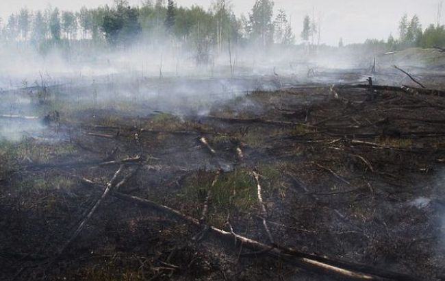 В Киевской области продолжают гореть торфяники, - ГСЧС