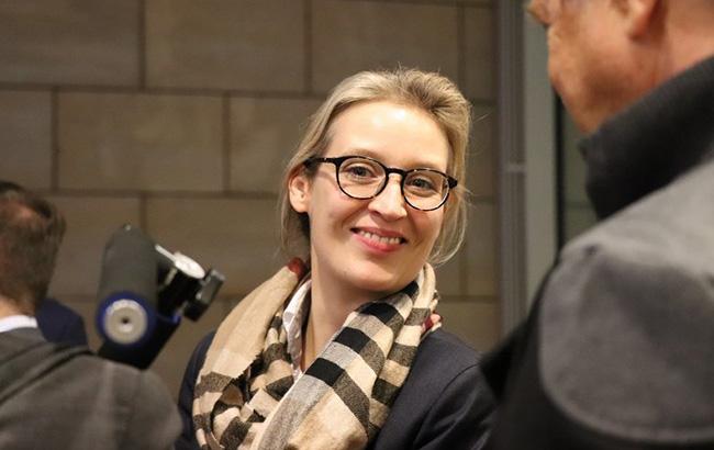 В Германии прокуратура открыла дело против лидера ультраправой партии