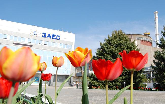 Рада ратифицировала изменения в соглашении с ЕИБ о строительстве воздушной линии ЗАЭС - Каховская