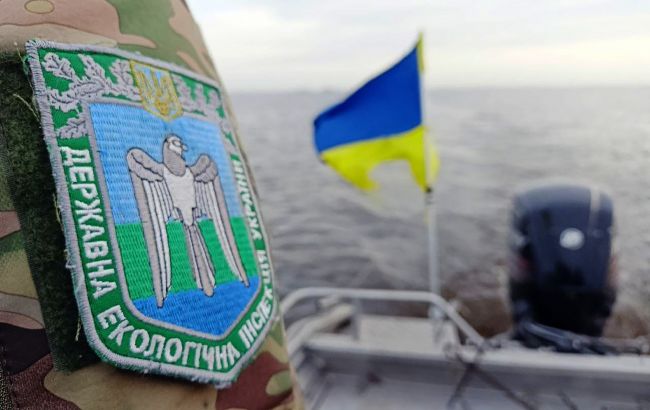 Реформа, про яку говорять роками: чи стане Держекоінспекція ефективним органом?