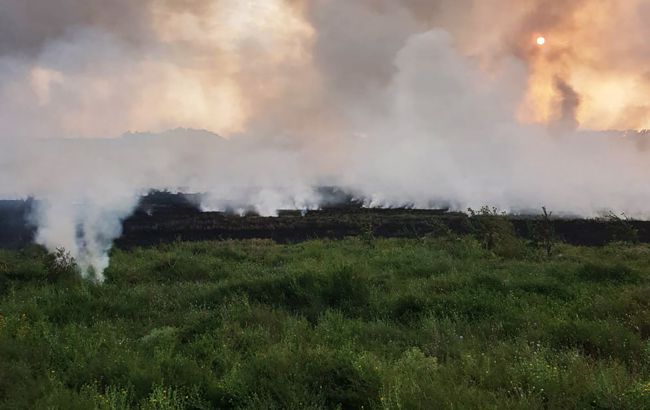 На Кинбурнской косе из-за действий оккупантов горит почти 4000 гектаров леса, - омбудсмен