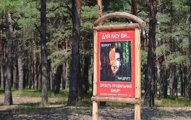 Кабмин предлагает криминализировать ряд преступлений против окружающей среды