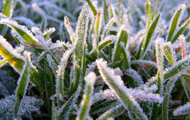 Погода на сегодня: в Украине без осадков, температура до +7