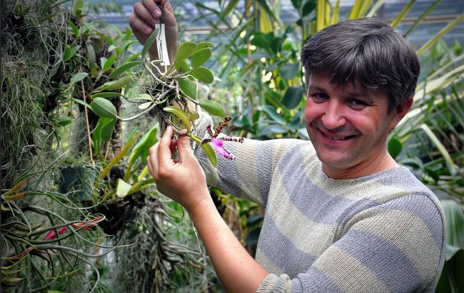 Чи цвістиме бузок та азалії? У Ботсаду Гришка розповіли про наслідки критичної зими