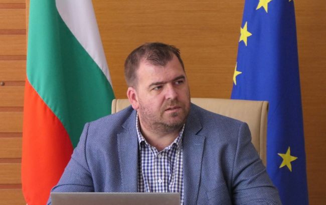 Болгария прекращает экспорт древесины в третьи страны: что случилось