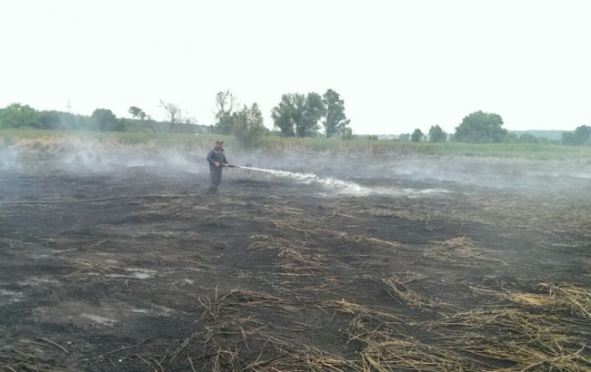 Під Києвом продовжують горіти 102 га торфовищ