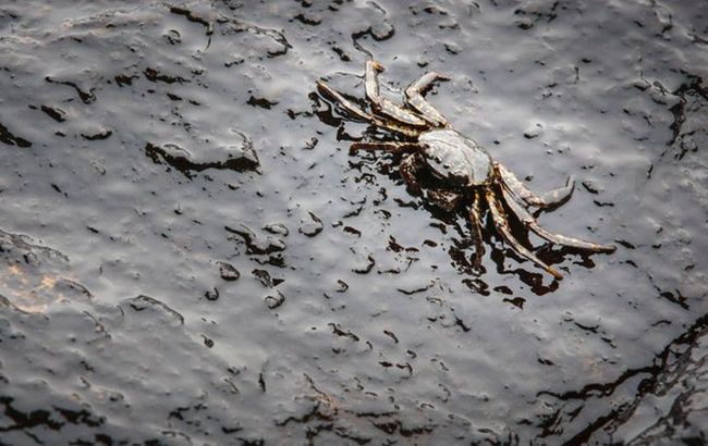 Разлив нефти в Калифорнии: за дело взялся генеральный прокурор штата