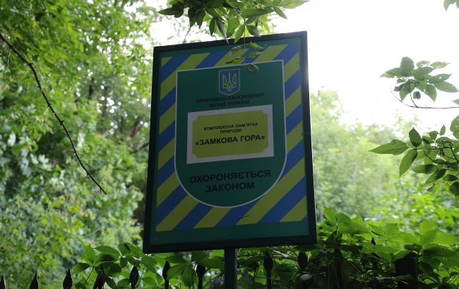 Все заросло чагарниками. В Києві занепадає унікальна історична локація