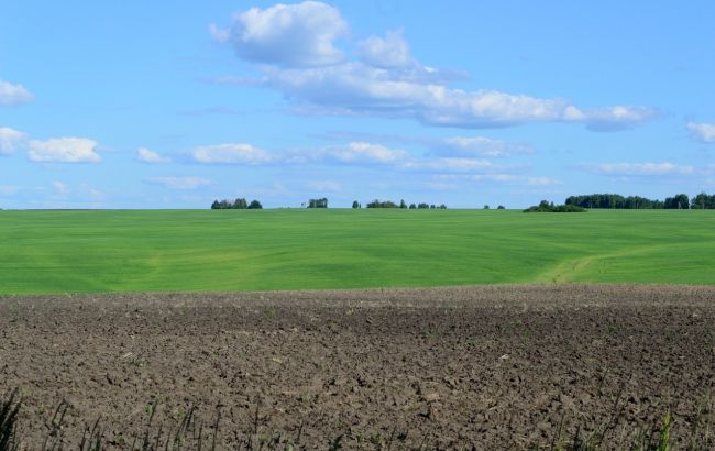 Власники паїв поділилися планами після зняття мораторію на продаж землі