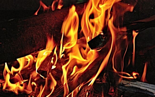 На Буковине трое молодых людей держали кошку над костром ради видео для соцсетей