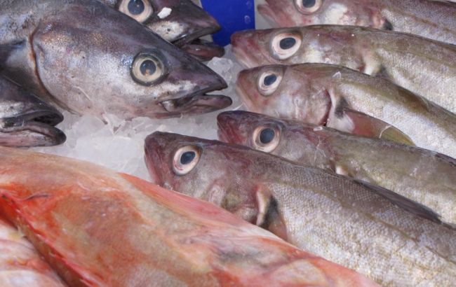 Определить несвежую рыбу очень просто: достаточно лишь взгляда