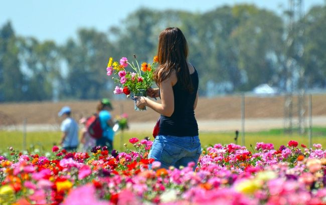 Завтра в Украине будет солнечно и без осадков