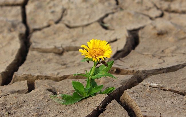 Синоптики резко изменили прогноз на май в Украине: грядет засуха