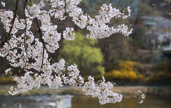 Синоптик дала обнадеживающий прогноз на предпасхальную неделю