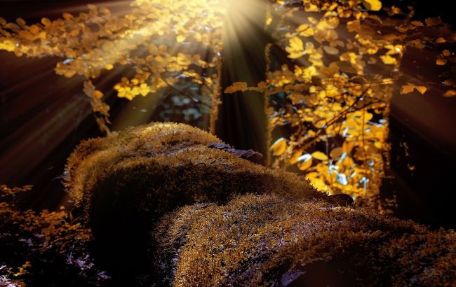 Свято 17 жовтня: що треба обов'язково зробити, у кого день ангела