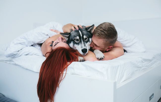 Чому спати з котом чи собакою - це погана ідея: про це ви могли не знати