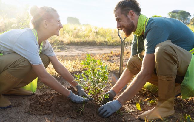 Спасете ваши растения и получите хороший урожай: что нужно сделать в июле на огороде