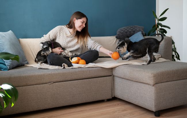 Названо фрукти, які категорично не можна давати домашнім тваринам