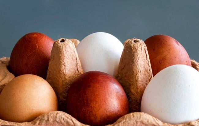 Які яйця краще на крашанки - білі чи коричневі: відповідь не така очевидна
