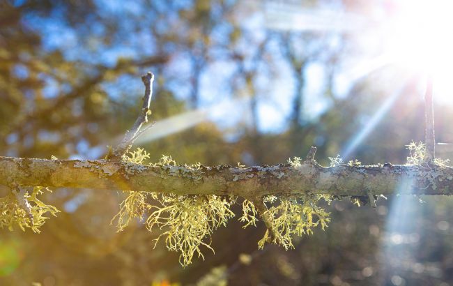 День весняного рівнодення 2024: що треба знати про цей день