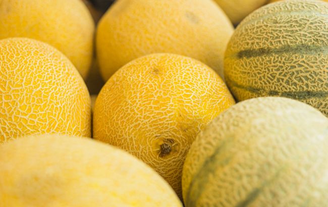 Как выбрать самую сладкую и сочную дыню: продавец поделился секретом