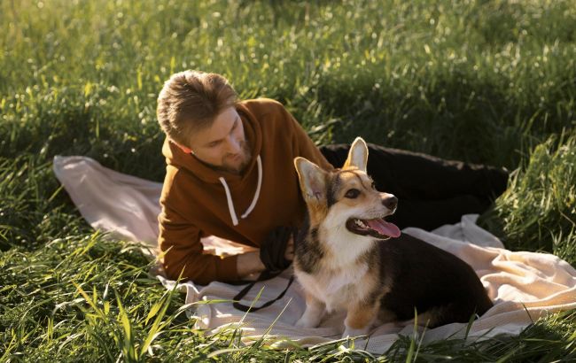 Собаки можуть передбачати майбутнє: містика, природний дар чи все ж є наукове пояснення?