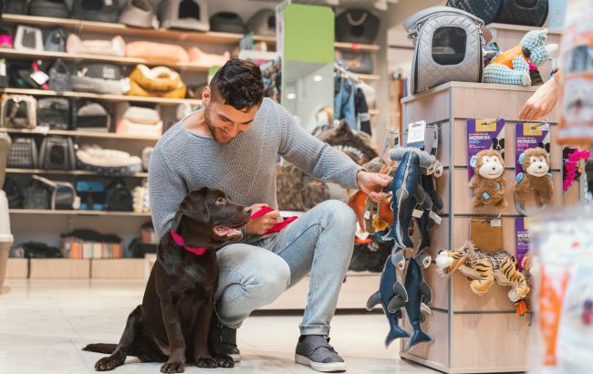 Что нельзя покупать коту и собаке: рейтинг вредных игрушек