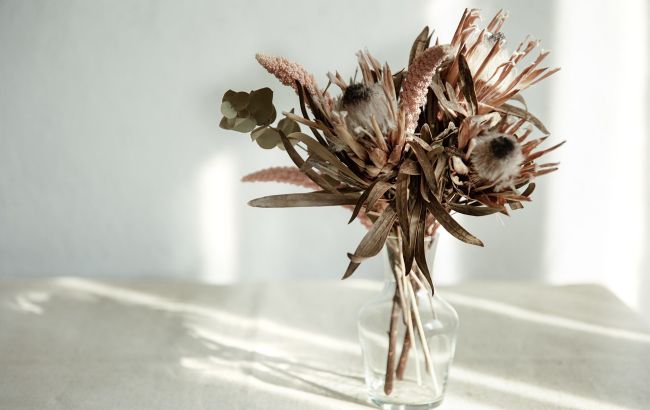 Чи правда, що засушені квіти приносять нещастя: пояснення забобону