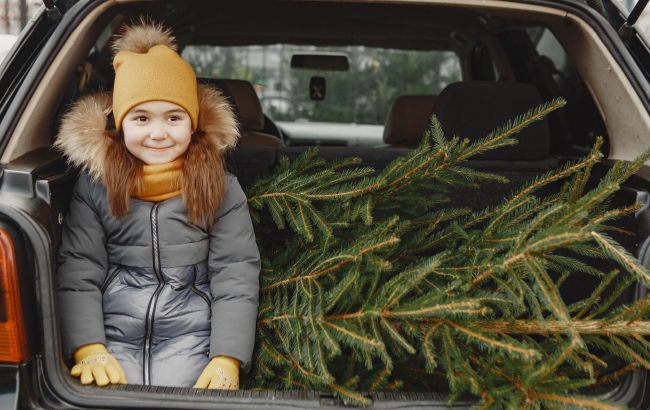 Три загрози від ялинки: як правильно перевезти святкове дерево в авто