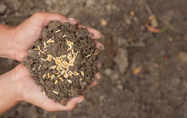 Эксперт призвал искать реальные механизмы для продажи земли