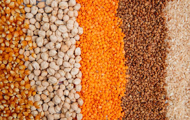 Уберегите припасы: сколько можно хранить гречку, рис и манку, и как правильно это делать