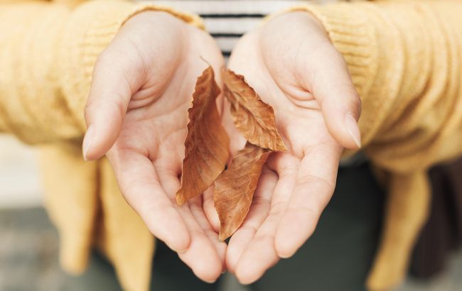 Яке церковне і народне свято 28 вересня, що не можна робити в особливий день