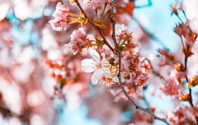 Выходные на майские праздники 2022: будем ли отдыхать дополнительно