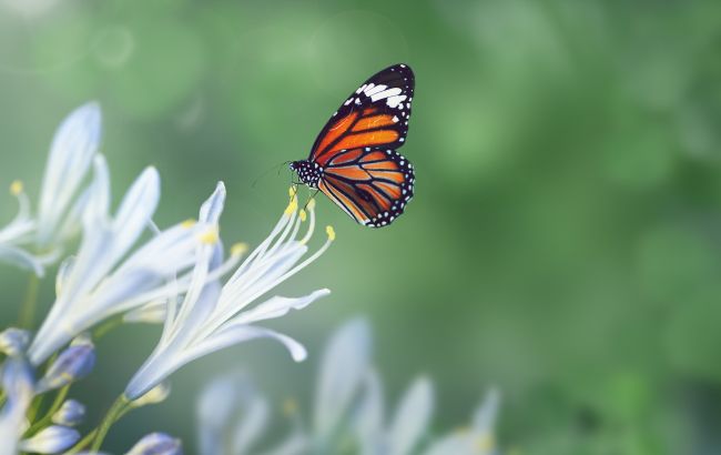 Синоптики обещают жару на Пасху: где будет +25 и выше