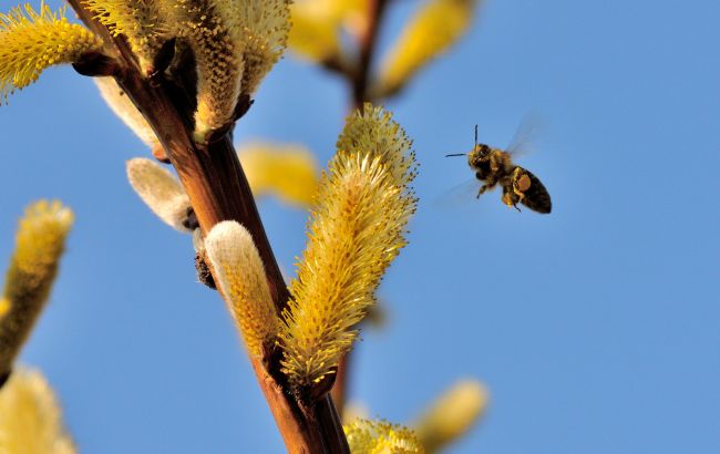 Синоптики назвали дату потепління в Україні