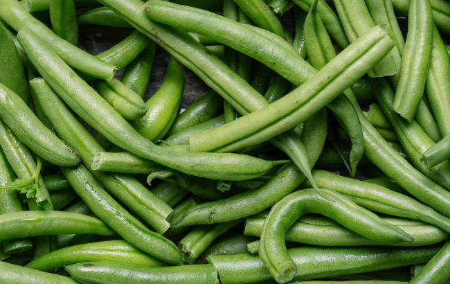 Как и когда сажать фасоль, чтобы получить хороший урожай: важные правила