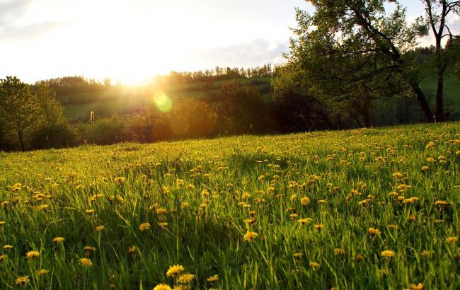 Погода на сегодня: на западе Украины дожди с грозами, температура до +25