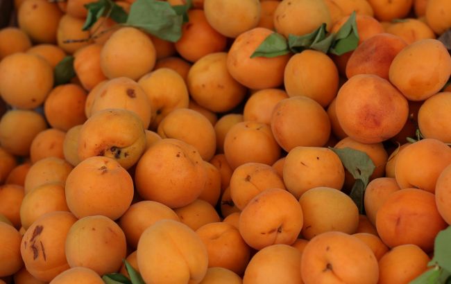 Больше никаких испорченных абрикосов. Вот как правильно их хранить