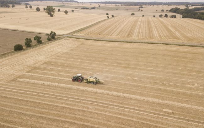 Завершение земельной реформы: закон о передаче земель ОТО завтра вступит в силу