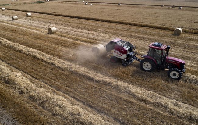 В Украине может появиться Фонд гарантирования кредитов для фермеров