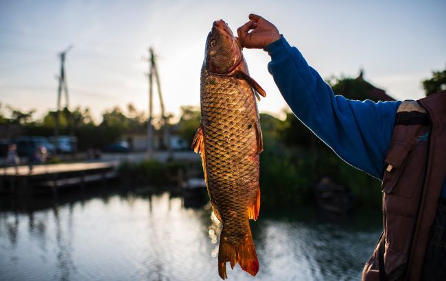 В яку погоду треба йти на риболовлю, щоб точно повернутися з повним садком