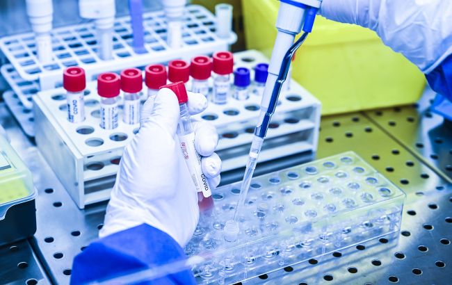 У "Сінево" заявили про арешт головного офісу у Києві, вся мережа може припинити роботу