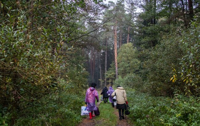 Число нелегалов на восточной границе ЕС выросло за год в 15 раз, - Frontex